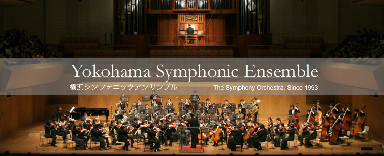 ysebanner2010